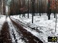 Endmoränen-Landschaft des Niederlausitzer Grenzwalls am Königsberg bei Gehren, Niederlausitz-Spreewald, Brandenburg, (D) (2) 24.01.2015.JPG